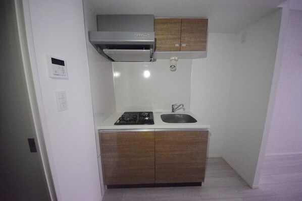 ラフィスタ錦糸町IIの物件内観写真